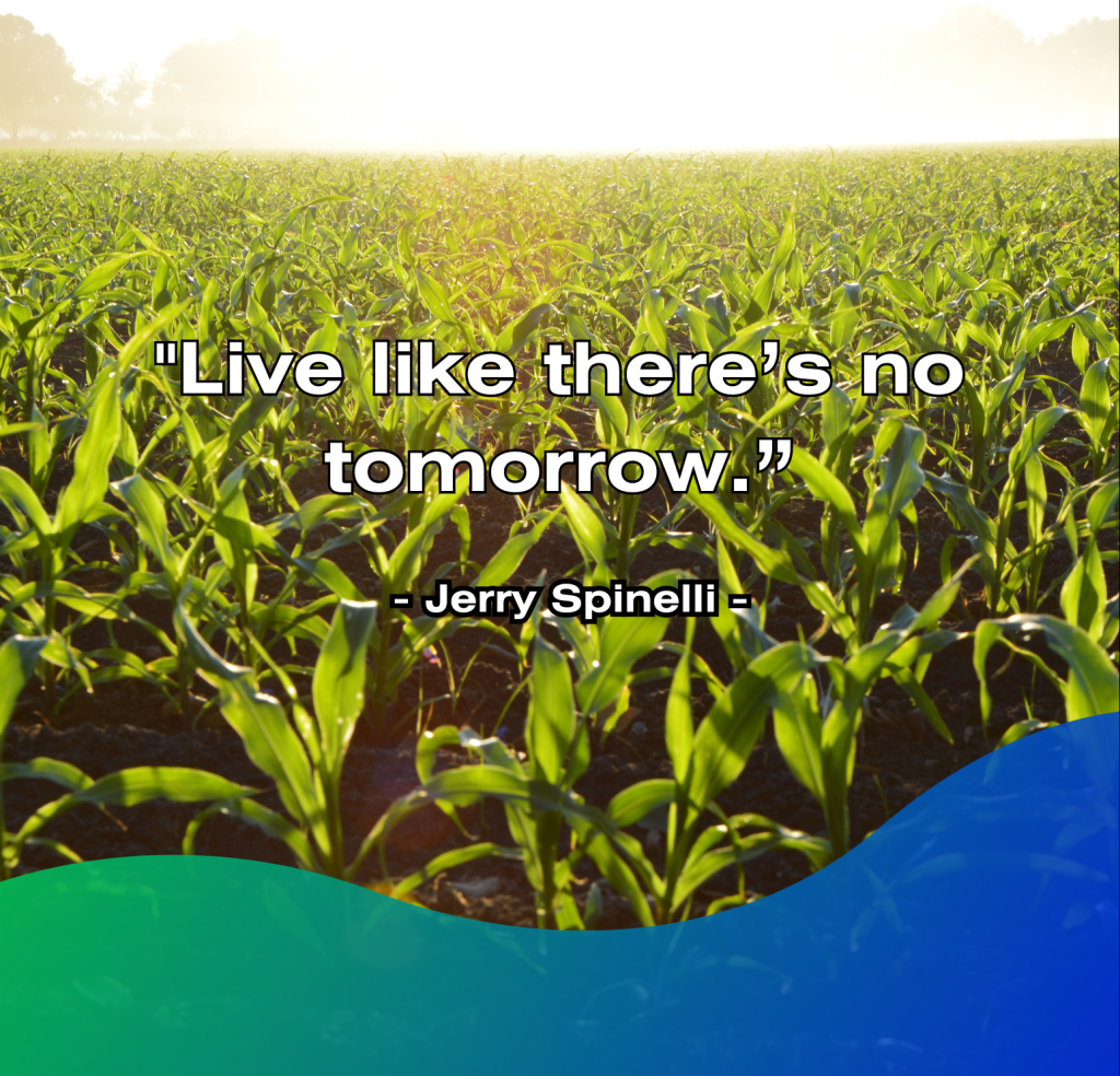 Cornfield with the quote, "Live like there’s no tomorrow."